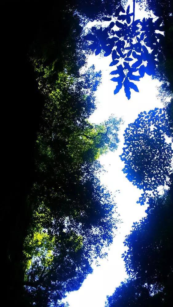 成渝中线重庆段铜梁站四线道岔大桥(4X32)米现浇梁顺利浇筑完成