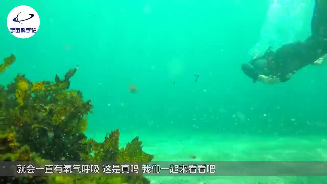 人平时不妨常吃,有助于补充雄激素,或许更有男人味!