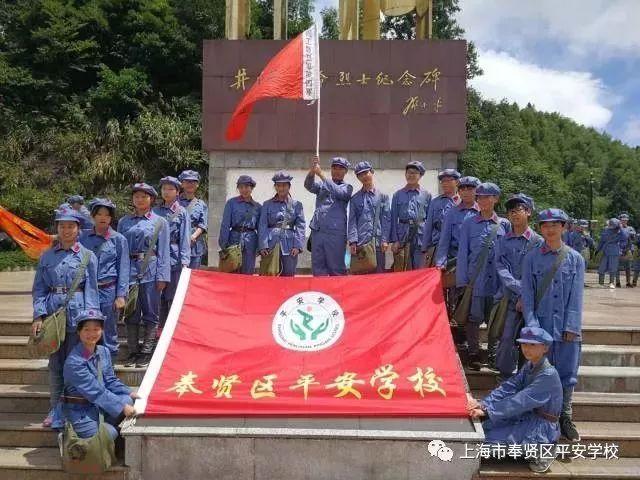 拯救枯树